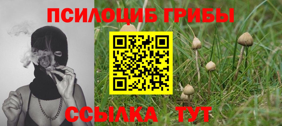 Галлюциногенные грибы мицелий  Вход с VPN  Псилоцибиновые грибы прущие грибы  Старая Русса 